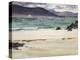Ben Bhuie from the North End, Iona, C.1926-Francis Campbell Boileau Cadell-Premier Image Canvas
