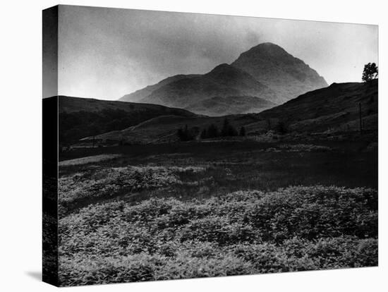 Ben Chroise Mountain in the Grampians Scotland-null-Premier Image Canvas