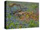 Bench in Field of Wildflowers Near Yoakum, Texas, USA-Darrell Gulin-Premier Image Canvas