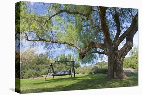 Bench Swing under Large Tree at Rancho La Purerta, Tecate, Mexico-Jaynes Gallery-Premier Image Canvas