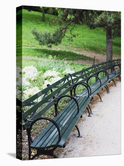 Benches, Central Park, Manhattan-Amanda Hall-Premier Image Canvas