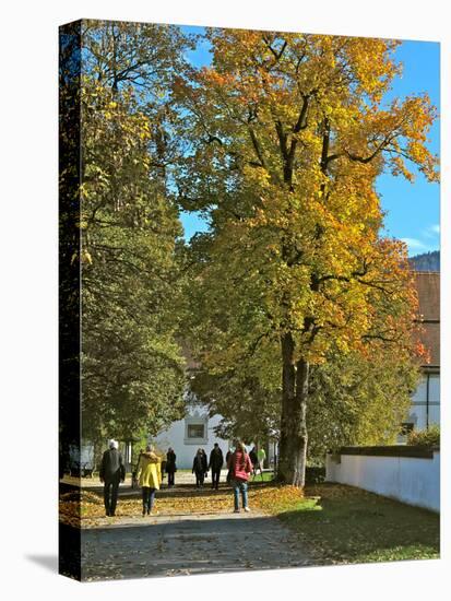 Benediktbeuern Monastery, Walkers, Maple Tree, Foliage-Uta Horst-Premier Image Canvas