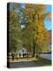 Benediktbeuern Monastery, Walkers, Maple Tree, Foliage-Uta Horst-Premier Image Canvas