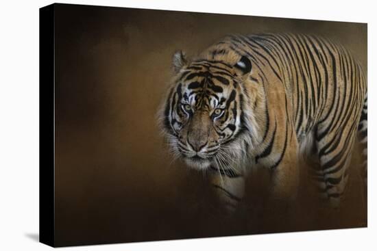 Bengal Stare-Jai Johnson-Premier Image Canvas