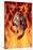 Bengal Tiger Jumping in Flames-null-Stretched Canvas