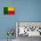 Benin Flag Design with Wood Patterning - Flags of the World Series-Philippe Hugonnard-Stretched Canvas displayed on a wall