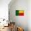 Benin Flag Design with Wood Patterning - Flags of the World Series-Philippe Hugonnard-Stretched Canvas displayed on a wall