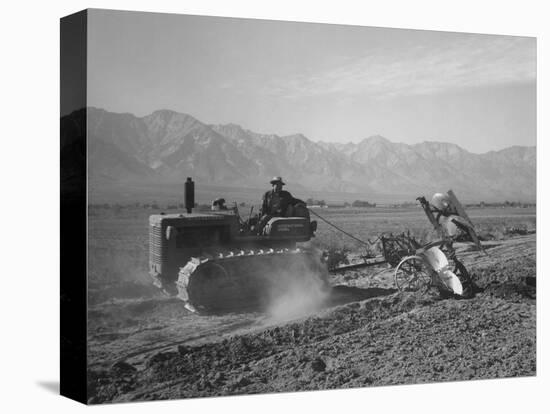 Benji Iguchi driving a tractor, Manzanar Relocation Center, California, 1943-Ansel Adams-Premier Image Canvas