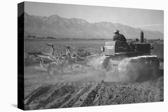 Benji Iguchi Driving Tractor in Field-Ansel Adams-Stretched Canvas