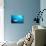 Beqa Shark Labs-Alexander Safonov-Premier Image Canvas displayed on a wall