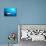 Beqa Shark Labs-Alexander Safonov-Premier Image Canvas displayed on a wall