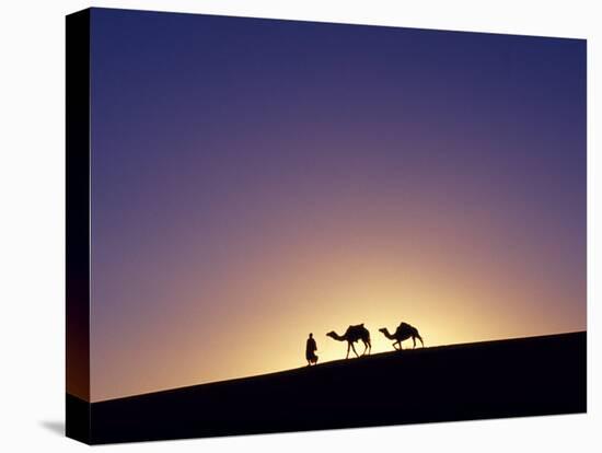 Berber Tribesman Leads His Two Camels Along the Top of Sand Dune in the Erg Chegaga, in the Sahara -Mark Hannaford-Premier Image Canvas