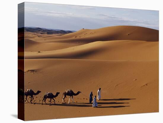 Berber Tribesmen Lead their Camels Through the Sand Dunes of the Erg Chegaga, in the Sahara Region -Mark Hannaford-Premier Image Canvas