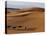 Berber Tribesmen Lead their Camels Through the Sand Dunes of the Erg Chegaga, in the Sahara Region -Mark Hannaford-Premier Image Canvas