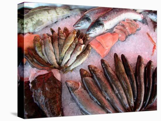 Bergen's Fish Market, Norway-Russell Young-Premier Image Canvas