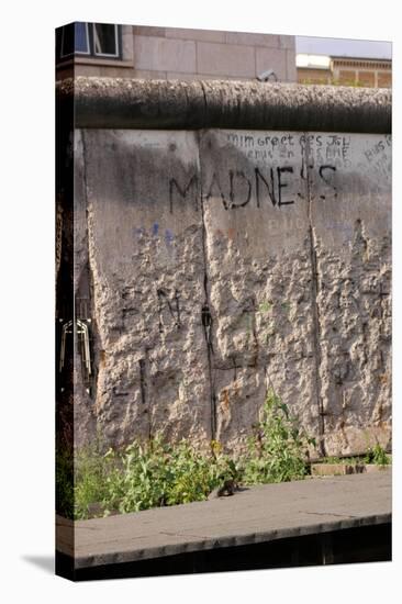 Berlin Wall. Germany-null-Premier Image Canvas