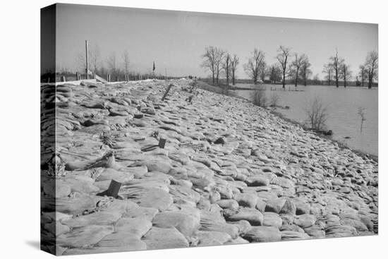 Bessie Levee on the Mississippi River augmented with sand bags during the flood by Tiptonville, TN-Walker Evans-Premier Image Canvas