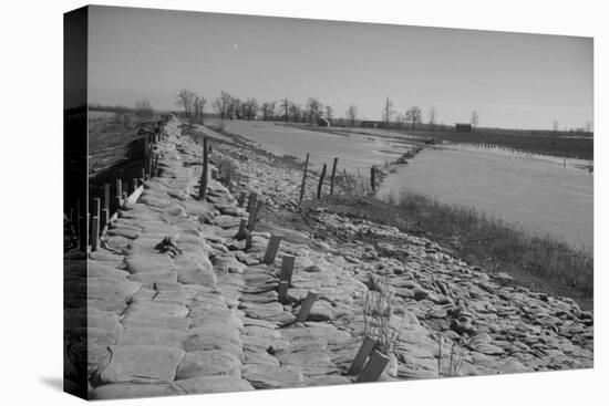 Bessie Levee on the Mississippi River augmented with sand bags during the flood by Tiptonville, TN-Walker Evans-Premier Image Canvas