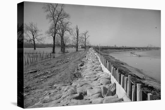Bessie Levee on the Mississippi River augmented with sand bags during the flood by Tiptonville, TN-Walker Evans-Premier Image Canvas
