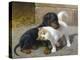 Best of Friends-Heinrich Sperling-Premier Image Canvas