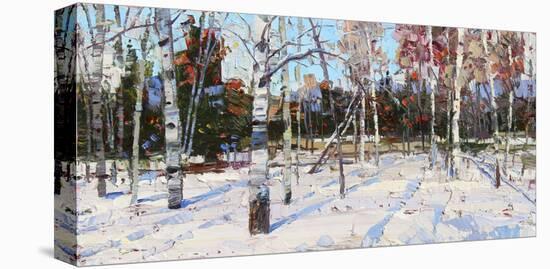 Best of Winter-Robert Moore-Stretched Canvas