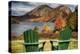 Best Seats in Acadia National Park, Maine-George Oze-Premier Image Canvas