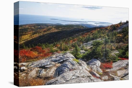 Best View from the Cadillac Mountain-George Oze-Premier Image Canvas
