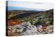 Best View from the Cadillac Mountain-George Oze-Premier Image Canvas