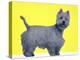 Bestie Westie-Anne Storno-Premier Image Canvas