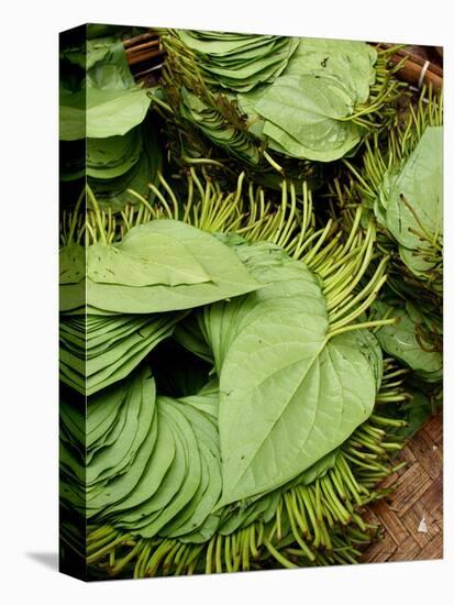 Betel Leaves (Piper Betle) Used to Make Quids for Sale at Market, Myanmar-Jay Sturdevant-Premier Image Canvas