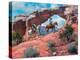 Between Rocks & Hard Places-Jack Sorenson-Stretched Canvas