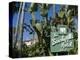 Beverly Hills Hotel, Beverly Hills, California, USA-Ethel Davies-Premier Image Canvas