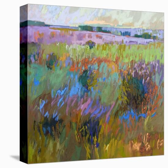 Beyond and Further-Jane Schmidt-Stretched Canvas