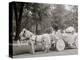 Bi-Centenary Celebration, Floral Parade, Ladies of the Maccabees, Detroit, Mich.-null-Stretched Canvas