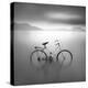 Bicycle 1B-Moises Levy-Stretched Canvas