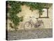 Bicycle, Turckheim, France 99-Monte Nagler-Premier Image Canvas