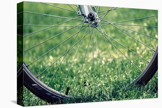 Bicycle Wheel in Grass-null-Stretched Canvas