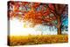 Big Autumn Oak With Red Leaves On A Blue Sky Background-Dudarev Mikhail-Premier Image Canvas
