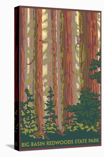 Big Basin Redwoods State Park - Forest View-Lantern Press-Stretched Canvas