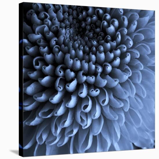 Big Blue-Doug Chinnery-Stretched Canvas