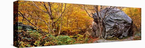 Big Boulder in a Forest, Stowe, Lamoille County, Vermont, USA-null-Premier Image Canvas