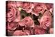 Big Bouquet of Pink Roses Horizontal-Denis Karpenkov-Premier Image Canvas