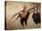 Big Brace of Pheasants-James Gillick-Premier Image Canvas