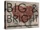 Big & Bright - 1864, Texas Mitchell Plate, Texas, United States Map-null-Premier Image Canvas