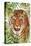 Big Cats 1-Kimberly Allen-Stretched Canvas