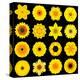 Big Collection of Various Yellow Pattern Flowers-tr3gi-Stretched Canvas