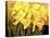 Big Daffodils-John Newcomb-Premier Image Canvas