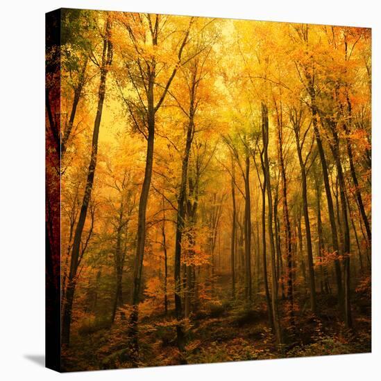 Big Dreamers Never Sleep-Philippe Sainte-Laudy-Premier Image Canvas