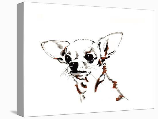 Big Ears the Chihuahua, 2012-Jo Chambers-Premier Image Canvas