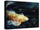 Big Fish-Farrell Douglass-Premier Image Canvas